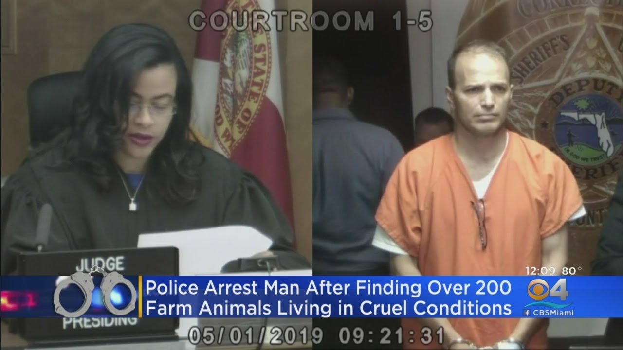 Man Accused Of Animal Cruelty Appears In Court - YouTube