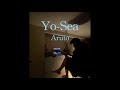 Yo-Sea (guitar cover)    yosea-aruto