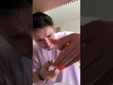 Video: Watter voëls eet eendjies?