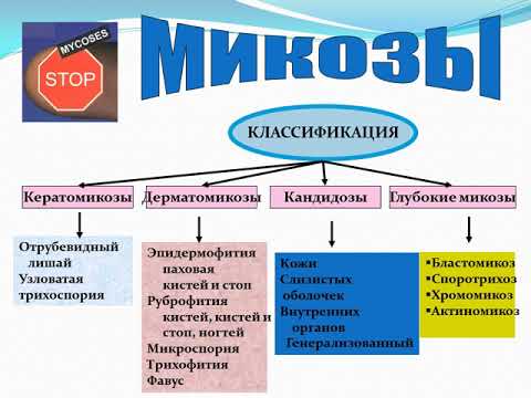 Микозы