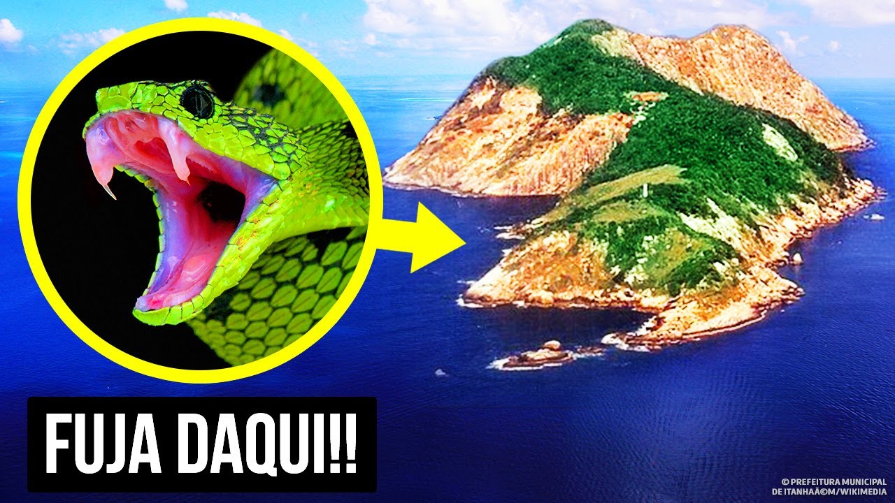 Como as Cobras Fizeram Desta Ilha o Lugar Mais Perigoso do Planeta