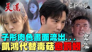 天道 EP40 完整版｜子彤不雅照流出…凱鴻黑社會魂噴發親自處理｜FIGHT FOR JUSTICE｜【365 PLUS燃魔女膠囊】