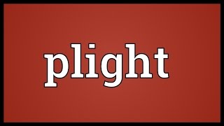 Plight Meaning