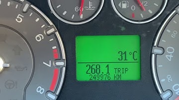 Fiesta XR4/ST150 - “Fuel Economy” Display