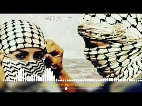 w-xezal-yen-2020-k-rt-e-ark-lar-mutlaka-dinle-kanal-m-za