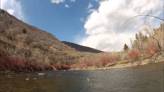 A quick hour on the Provo River