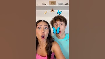 BUTTER 🧈 FLY 🪰 BUTTERFLY 🦋 TIKTOK FILTER!