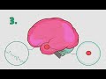 The Science Behind Yoga | Educational Animation
