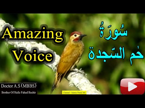 NEW | Beautiful Quran Recitation | Heart Touching Voice | By Dr. AS ||  Islamic Portal 360 ||