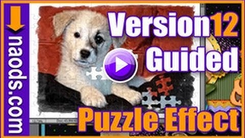 Photoshop Elements version 12 Puzzles