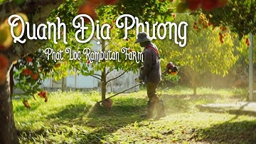 "The porcupine lives in trees" | Phat Loc Rambutan Farm | QUANH ĐỊA PHƯƠNG