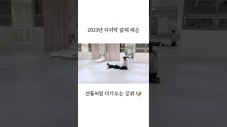 발레 레슨에 들어온 강쥐