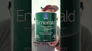 The Best Bathroom Ceiling Paint - My Favorite #sherwinwilliams #sherwinwilliamspaint
