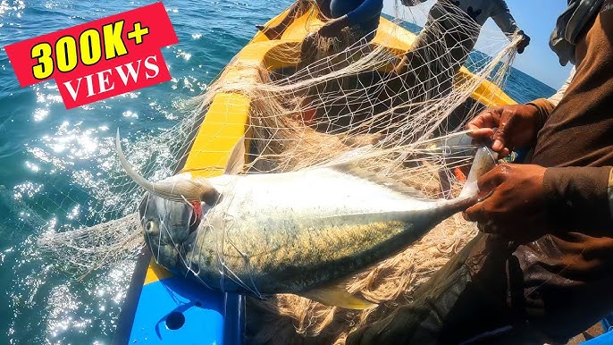 Personal Best Wahoo, Wahoo Fishing in the deep sea