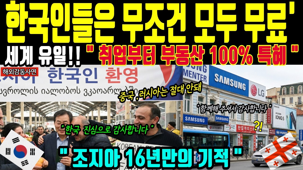[해외감동사연] 조지아 대통령 오열! 전 국토 90% 한국산 장악에 중국 러시아 굴복시킨 전율의 혜택