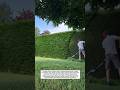 Satisfying Hedge Trimming Transformation