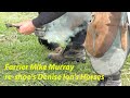 Farrier Mike Murray & The Art of Horse Hoof Care On My Sister's Property, Rotorua, New Zealand