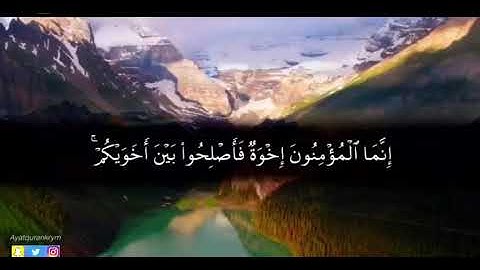 {إِنَّمَا الْمُؤْمِنُونَ إِخْوَةٌ فَأَصْلِحُوا بَيْنَ أَخَوَيْكُمْ} القارئ صالح التويجري