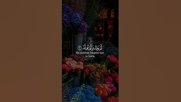 سورة الإخلاص #قران #كريم #اجر #اجر لي ولك #السعودية #قران _كريم #مصحف#AF7_78 #الله_الوطن_الملك#مستر