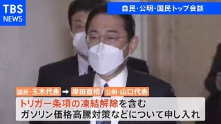 自民・公明・国民 トップ会談 協議会設置で“食い違い”