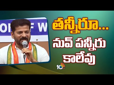 తన్నీరూ... నువ్‌ పన్నీరు కాలేవు | CM Revanth Reddy Fires on Harish Rao | Super Punch | 10TV - 10TVNEWSTELUGU