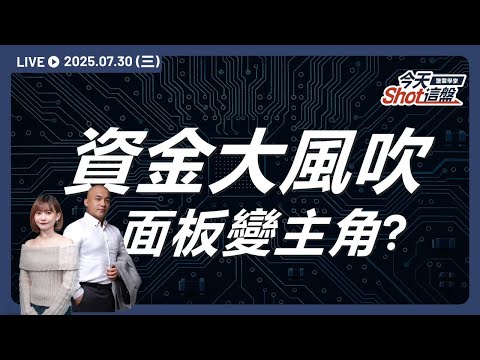 關稅利空砸盤!台積電重挫!為何友達逆勢爆拉?|2025.07.30 台股盤前解析|今天 Shot 這盤|豐雲學堂直播