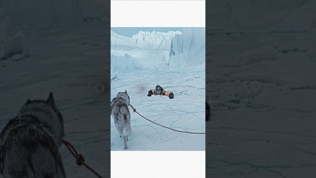 “This Brave Dog Saved a Man’s Life ❤️🐕 | True USA Story” 