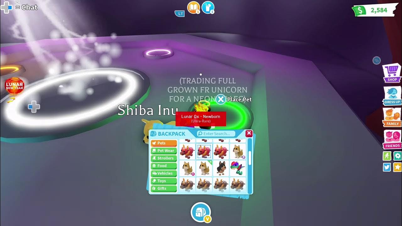 Making a Neon Ride shiba Inu Adopt Me YouTube