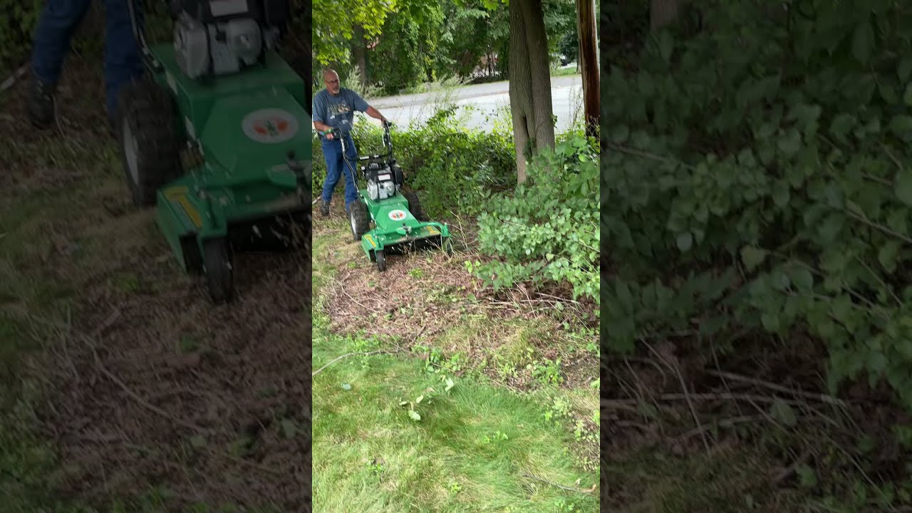 Billy Goat Brush Cutter Just Eats Part 2