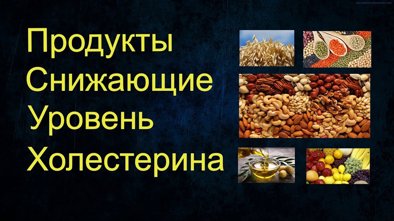 Продукты Снижающие Уровень Холестерина