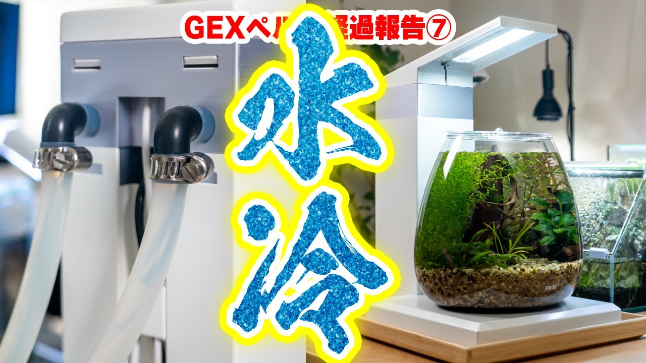 水槽DIY】初めて夏は猛暑GEXペルコに水槽用ファンを付ける！100均で