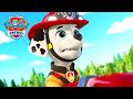 Marshall Bir Kediyi Kurtardı! (Derleme) | Paw Patrol Türkiye | Çocuklar İçin Çizgi Filmler