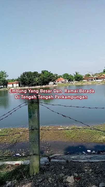 Embung Yang Besar Airnya Bersih Sekali #video #shortsviral