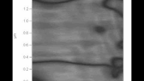 AFM and Acoustics: Fast, Quantitative Nanomechanical Mapping: Supplemental Video 2