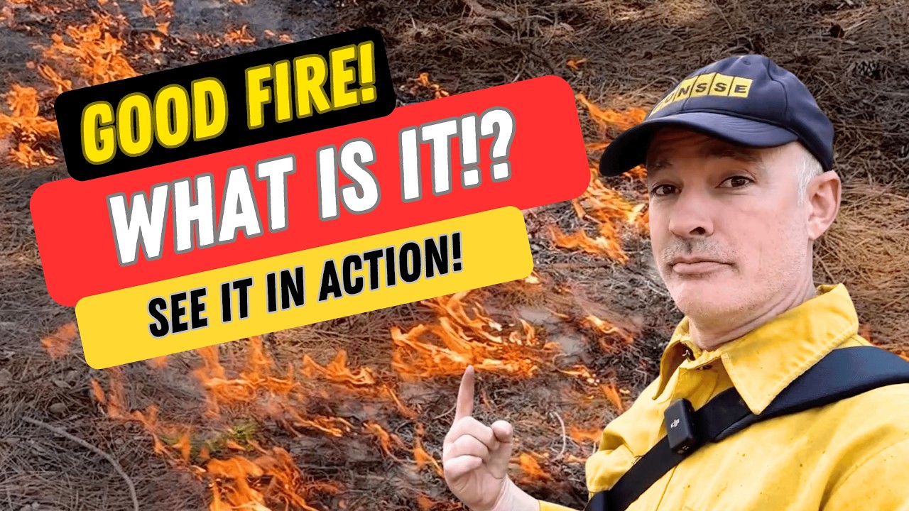 What Happens During a Controlled Burn? (Real Footage & Expert Insights ...