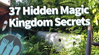 37 Hidden Secrets in Disney World's Magic Kingdom!