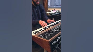 Vibing w/ the Prophet 10 #bettymichaels #sp404 #beatmaker #musicproducer  #prophet10