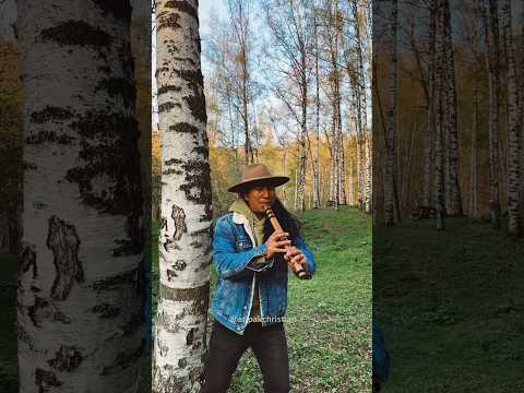 Beautiful native melody from the nature of Kazakhstan 🌿 (Anquayllu)