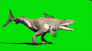 King shark megalodon dinosaur green screen - Part 2