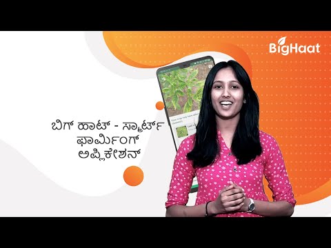 ಸ್ಕ್ರೀನ್‌ಶಾಟ್ ಚಿತ್ರ