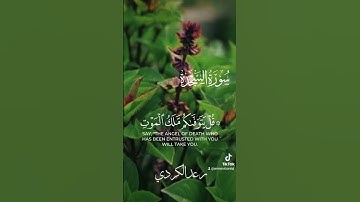 سورة السجدة