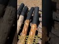 5 Steps To Prep A Log For Fence Gate Posts