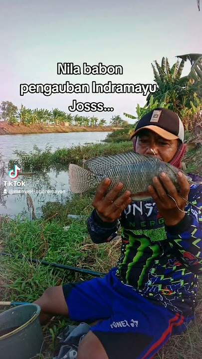 mancing maning lur #fishing #fishing #shorts