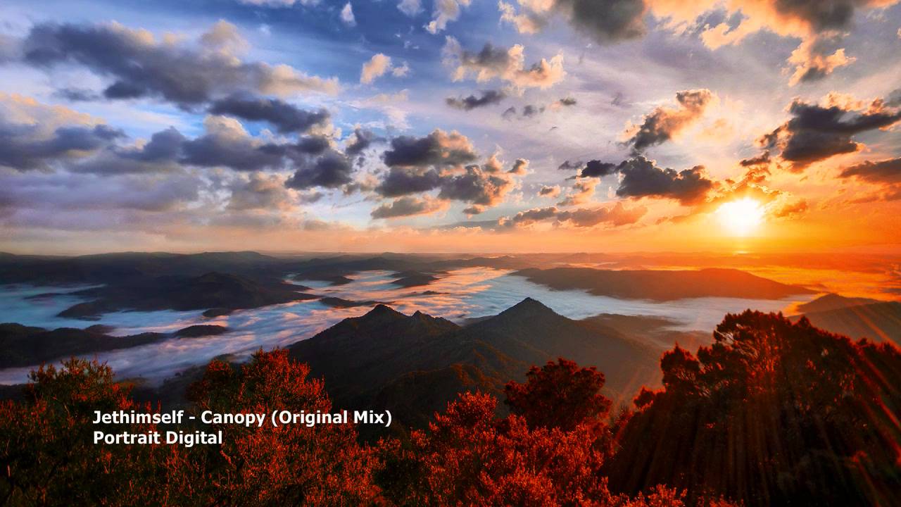 Jethimself - Canopy (Original Mix)[PDR040]