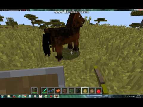 Video: Kaip Gauti Arklį