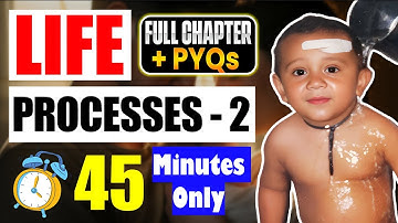 Life Processes in Living Organisms Part - 2 in 45 Minutes ✅|| Fast Revision || SSC Class 10th
