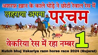वेकरिया रण में अशरफ़ ख़ान के काले घोड़े ने छोटी रेवाल रेस में लहराया अपना परचम Kutch bhuj race 2024