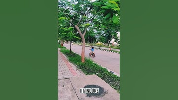 IIT Indore #iitjam #iitjee #iit #iit_motivation