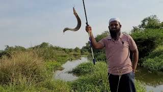 Indian Eel Fishing|Catching The 2 Types of Fishes We Used Earth Worms To Catch Those Fishes|Fishing