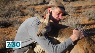 How Chris 'Brolga' Barns became a full-time kangaroo carer | 7.30